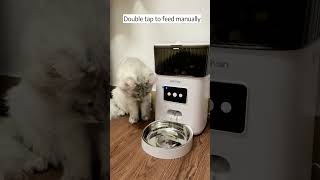 Petchain Automatic Cat Feeder, 4L WiFi Pet Food Dispenser for Cats and Dogs APP Control