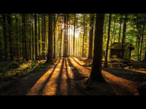 download lagu mp3 mp4 Mary Jane Kelly, download mp3 Mary Jane Kelly free download mp3, download mp3 Mary Jane Kelly