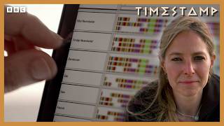 Which Continents Have the Most Neanderthal Descendants?
