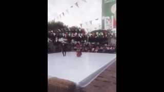 Jarabe Tapatío - MARIACHI SOL DE MI TIERRA