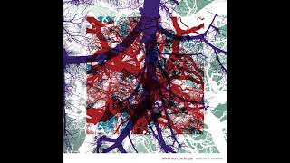 Silversun Pickups - We Are Chameleons (HQ)