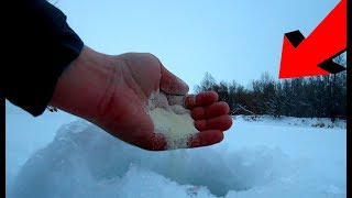 Прикормка при ловле ельца