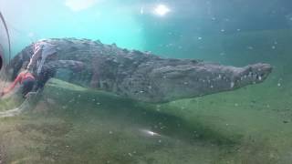 Mission Everglades Miami Zoo