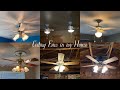 Ceiling Fans In My House Running On All Speeds 2023