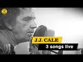 J.J. CALE - Live in 1994 | AFTER MIDNIGHT, TRAVELIN' LIGHT and DEVIL IN DISGUISE
