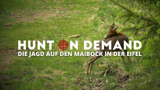 Die Jagd auf den Maibock in der Eifel 🌋 Teil 1 von @huntingtommes4713
