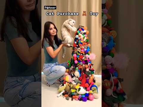 ✨ Cat Toys Collection 🧸 #cat #kitten #shorts