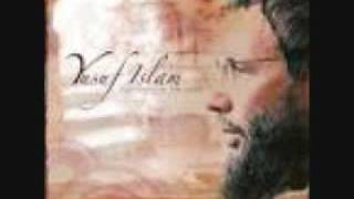 Wild world (bana bana) Yusalf Islam