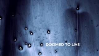 Mokadelic- Doomed To Live
