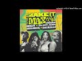 MOLIY Silent Addy Skillibeng And Shenseea Shake It To The Max FLY Official Radio Edit