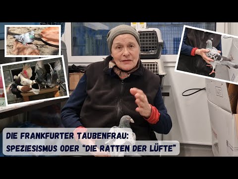 Speziesismus überall - Wir können "Ratten der Lüfte" echt nicht mehr hören!