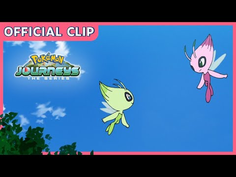 A double Celebi sighting! | Pokémon Journeys: The Series I Official Clip
