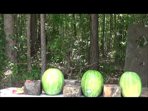 watermelon massacre from different types of shotgun shells