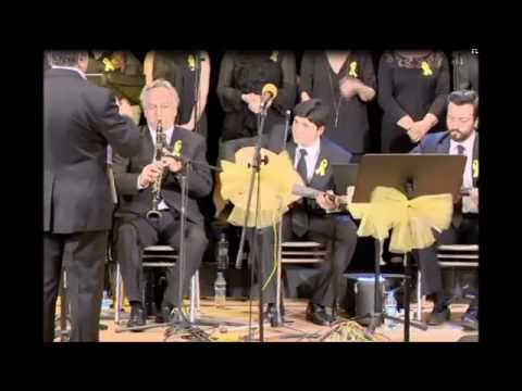 Segah Ud Taksimi - Berke Altıparmak