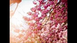 Sueños - Diego Torres con Julieta Venegas ( Letra♥)