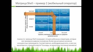 Анализ бизнеса по матрице Shell