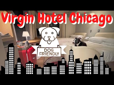 Ts Pet Friendly Hotels