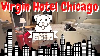 Staying at the Virgin Hotel Chicago with a Dog: Dog-Friendly Travel 2022