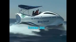 Looker 350 glass bottom boat for sale