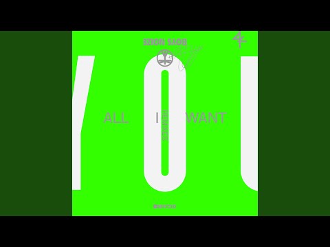 All I Want (Boys Noize Extended NRG Remix)