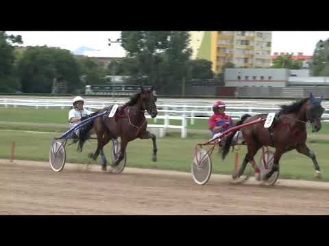 2019.08.03. 05. futam  HÓKÁS DÍJ