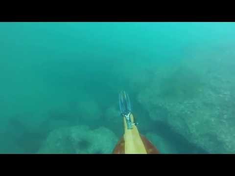 2016-10-08 Oyster Farm