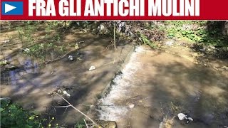 fra-gli-antichi-mulini-di-avellino-poi-un-tuffo-alla-palata