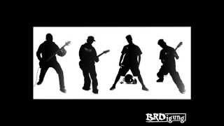 BRDigung   Punkrock Oma