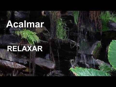 ACALMAR A MENTE INQUIETA - Música relaxante para tranquilizar pensamentos acelerados – descontrair