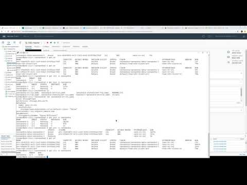 VMware vSphere 6.7U3 Cloud Native Storage (CNS) demo