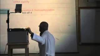 20) Dr.Rasheed 05/05/2014 [Cell cycle]