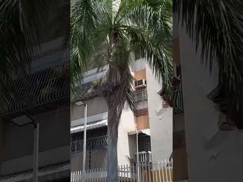 Así quedaron EDIFICIOS de ANDRÉS Bello en MARACAY después del TERREMOTO. #suscribe #sismo #venezuela