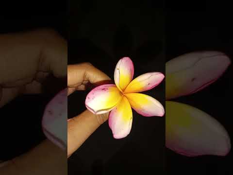 Flowers like these #shorts #flowers