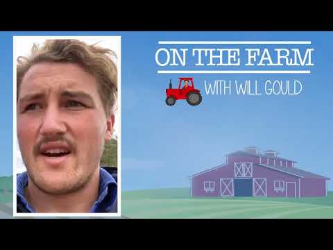 On the Farm with Will Gould - Week 1