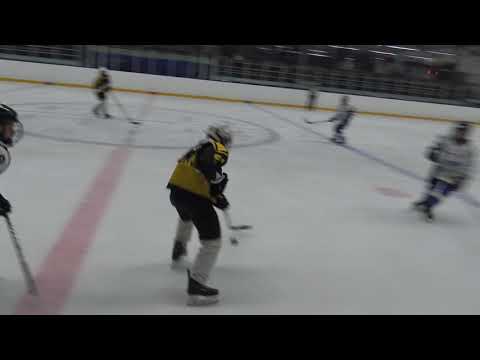 30.3.3019 D2 AA+ tason aluesarjan finaali Nikkarit Black-HJK White