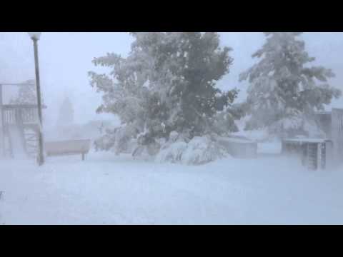 Rapid City Blizzard