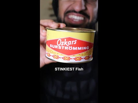 Let's Try the STINKIEST FISH in the World (Surströmming)