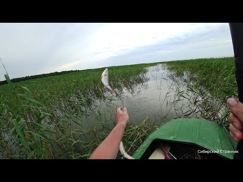 Сперва совсем не клевало, а потом как поперло.