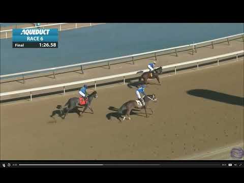 Allowance Belmont Park