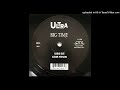 Ultra Kool Keith Tim Dog Big Time Radio Edit Version
