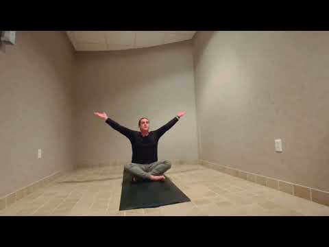 Vinyasa yogawithDyL EP016