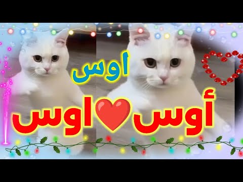 #اغنية#باسم#اوس(#اغنية#أوس)(#اسم#اوس)#اوس#اوس#اوس(#السعودية#الجزائر#لبنان#الامارات#المغرب#تونس)(#أوس