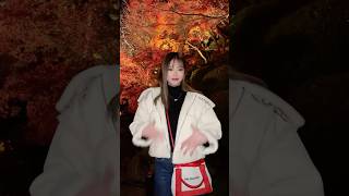 紅葉の季節やってきた?? #ももちゃんねる #shorts #紅葉