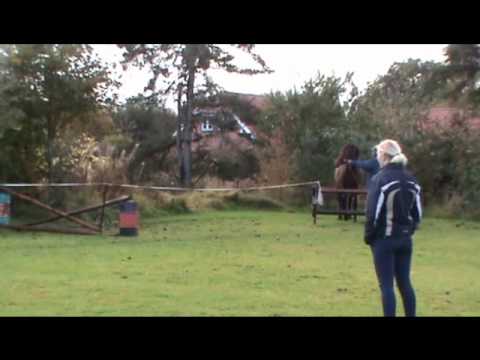 Lord Caletto GZ afkom