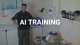 AI Training