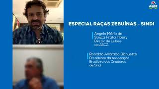 Miniatura do vídeo