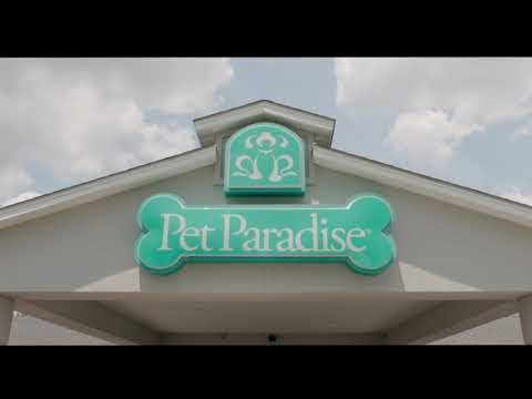 Charlotte Pet Paradise