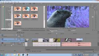 Video thumbnail for Sony Vegas Pro 11: Beginners Tutorial by alexyunmoney