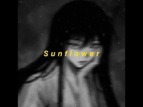 Sunflower – Rex orange county | Damndy TrapLo-fi remix