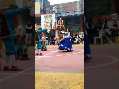 Huanuqueñita pretenciosa